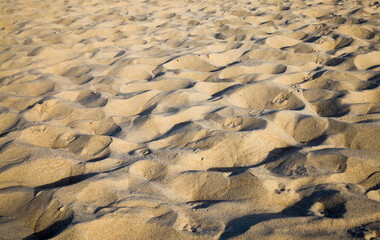 close up photo of sand and soil