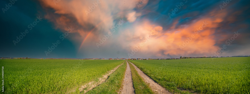 Canvas Prints panorama of green field with dirt road and sunset sky. summer rural landscape sunrise