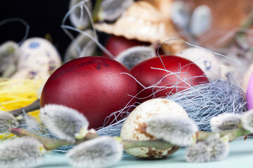 flowering willow branches cut for Easter celebration