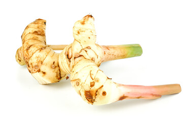 galangal rhizome or alpinia galanga isolated on white background, Ingredients of herbs for healing and healthy food or medical concept