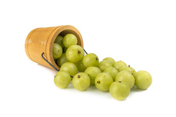 Indian gooseberry or amla green fruits from Emblic tree (Phyllanthus emblica) isolated on white background