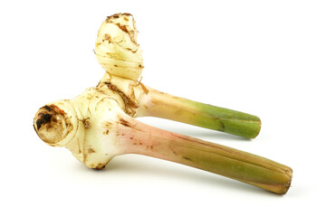 galangal rhizome or alpinia galanga isolated on white background, Ingredients of herbs for healing and healthy food or medical concept