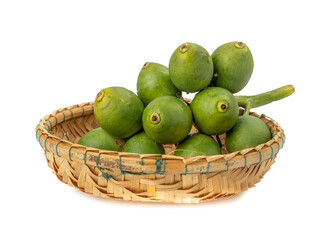 Fresh Areca nut palm or Betel nut palm (Areca catechu Linn.) isolated on white background.