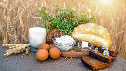 Organic food homemade farm, handmade. Agricultural with food background. Organic food - milk, bread, eggs, cheese, butter lying on the table, against the background of a wheat field.