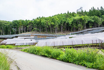 Obraz premium 山の中のソーラーパネル