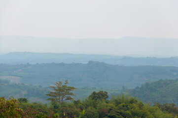 Obraz premium fog in the mountains