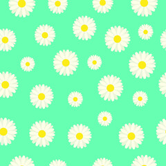 seamless pattern of daisies turquoise and white