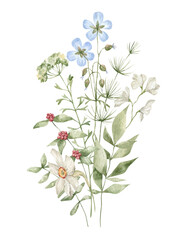 Watercolor bouquet with white and blue wild flowers, branches and leaves isolated on white. Summer meadow flower, floral arrangements