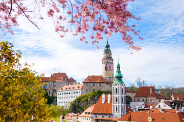 Panoramic view of Cesky Krumlov and blossom pink tree on foreground