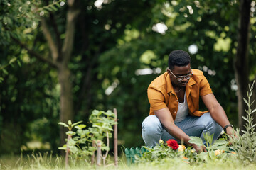 Adult man, planting new flowers in his backyard.