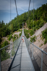 Fototapeta premium Passerelle himalayenne sur le Nant Bordon au Plateau d'Assy