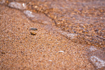 Fototapeta na wymiar Soft wave of the sea on the sandy beach.
