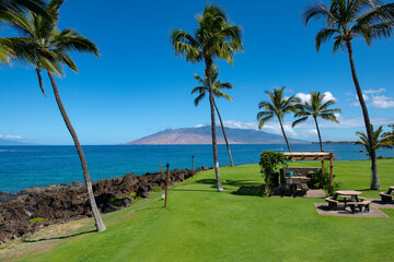 Tropical sea beach with sand, ocean, palm leaves, palm trees and blue sky. Summer beach background.