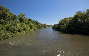 Tropical rainforest landscape. View of the Iguazu river flowing across the jungle. Beautiful green and lush vegetation.