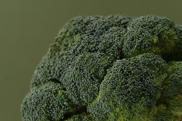 Fresh raw broccoli in hand. Healthy eating and vegetarianism concept. Front view.