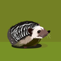 Hedgehog on a green background.