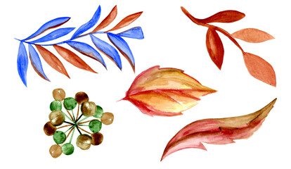 autumn leaves painted in watercolor, isolated on a white background. Set of leaves in autumn colors