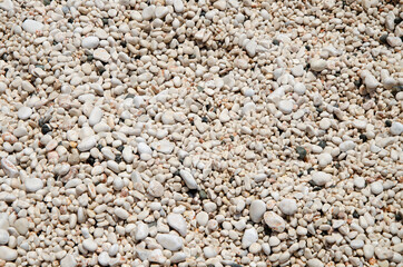 small sea pebbles of white color