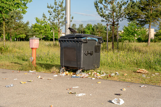 Big garbage bin on the side of a sidewalk with trash scattered around the floor near it and a raven sitting on top of the bin