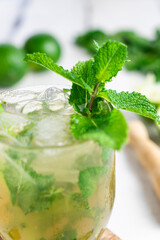 Fresh and Homemade Mojito Cocktail