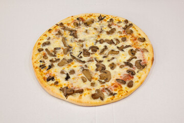 Fresh baked mushroom and cheese pizza on white cardboard background