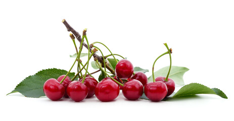 Red ripe cherries with leaves.