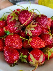strawberries in a basket