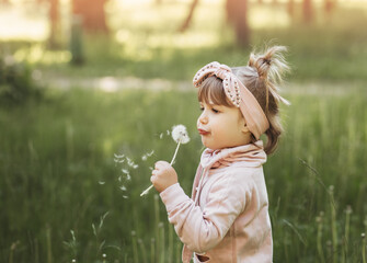 Little girl blowing on white dandelion in summer park