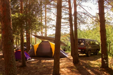 Gordijnen cars, tents, and camping in the woods. Family outdoor recreation, travel concept © Elena