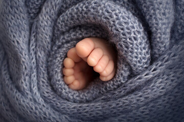Photo of the legs of a newborn. Baby feet covered with wool isolated background. The tiny foot of a newborn in soft selective focus. Image of the soles of the feet.