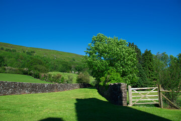 rural landscape, summer, Wales
