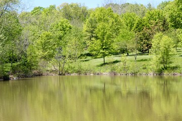 The lake in the pardon a bright sunny summer day.