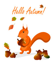 Autumn card with squirrel and acorns. Vector illustration with place for text. For postcards, invitations, covers, gift shops and markets, brochures and flyers.