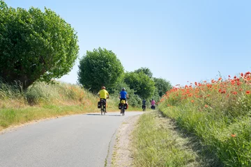  Outdoor activities in Mecklenburg Western Pomerania, actively organize holidays. Cycling trough the beautiful landscape in summer time on quiet country roads with wonderful views © Vivid phantasy