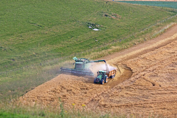 Combine harvester and tractor at harvest	