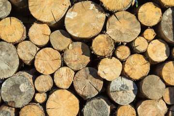 Background of sawn round wooden logs. Wooden background