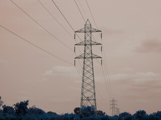 Electric current supply tower presented on center frame around forest filed.