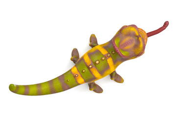chameleon in action top view