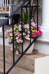 Fototapeta na wymiar Pretty Flowerpot on Steps