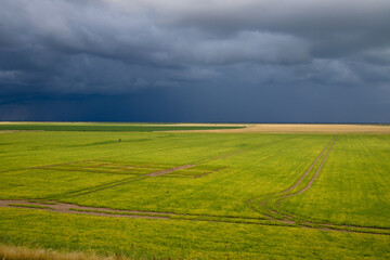 champs sous un ciel d'orage