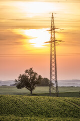 Strommasten einer Überlandleitung bei Sonnenuntergang