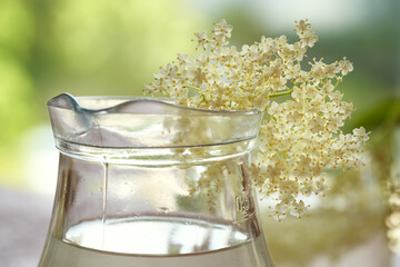 Elder flowerson a jug of homemade lemonade. Summer drink