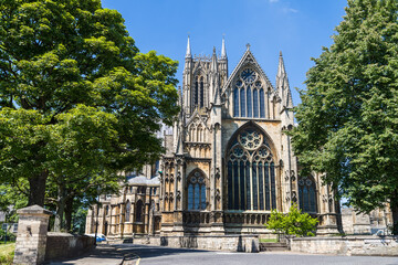 Trees framing Lincoln cathedral