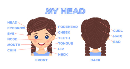 My Head and Face parts for game with the Dictionary. Cute Cartoon Brunette Girl Front and Back. Educational guide for children. Learn words. Flat color poster in a fun style. White background. Vector.