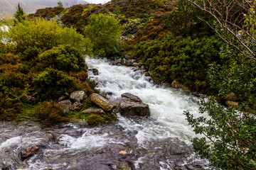 Mountain stream after storm