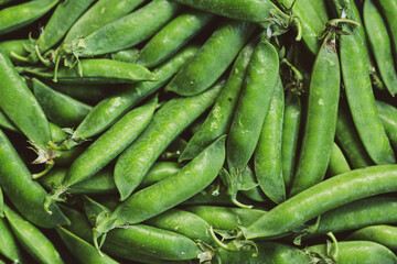 Green pea background Summer Vegan