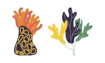 Seaweeds or Plants and Aquatic Marine Algae Growing on the Ocean Bottom Vector Set
