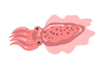 Squid Underwater Ocean Sea Creature Cartoon Vector Illustration