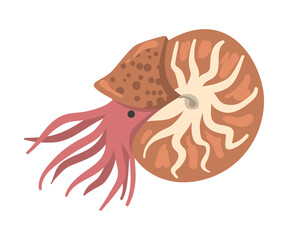 Snail Mollusc Underwater Sea Creature Cartoon Vector Illustration
