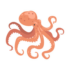Octopus Underwater Ocean Sea Creature Cartoon Vector Illustration